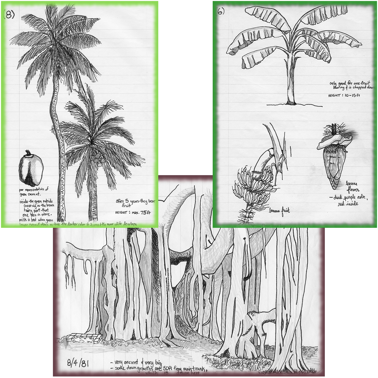 Drawings while in North 24 Parganas, West Bengal, India