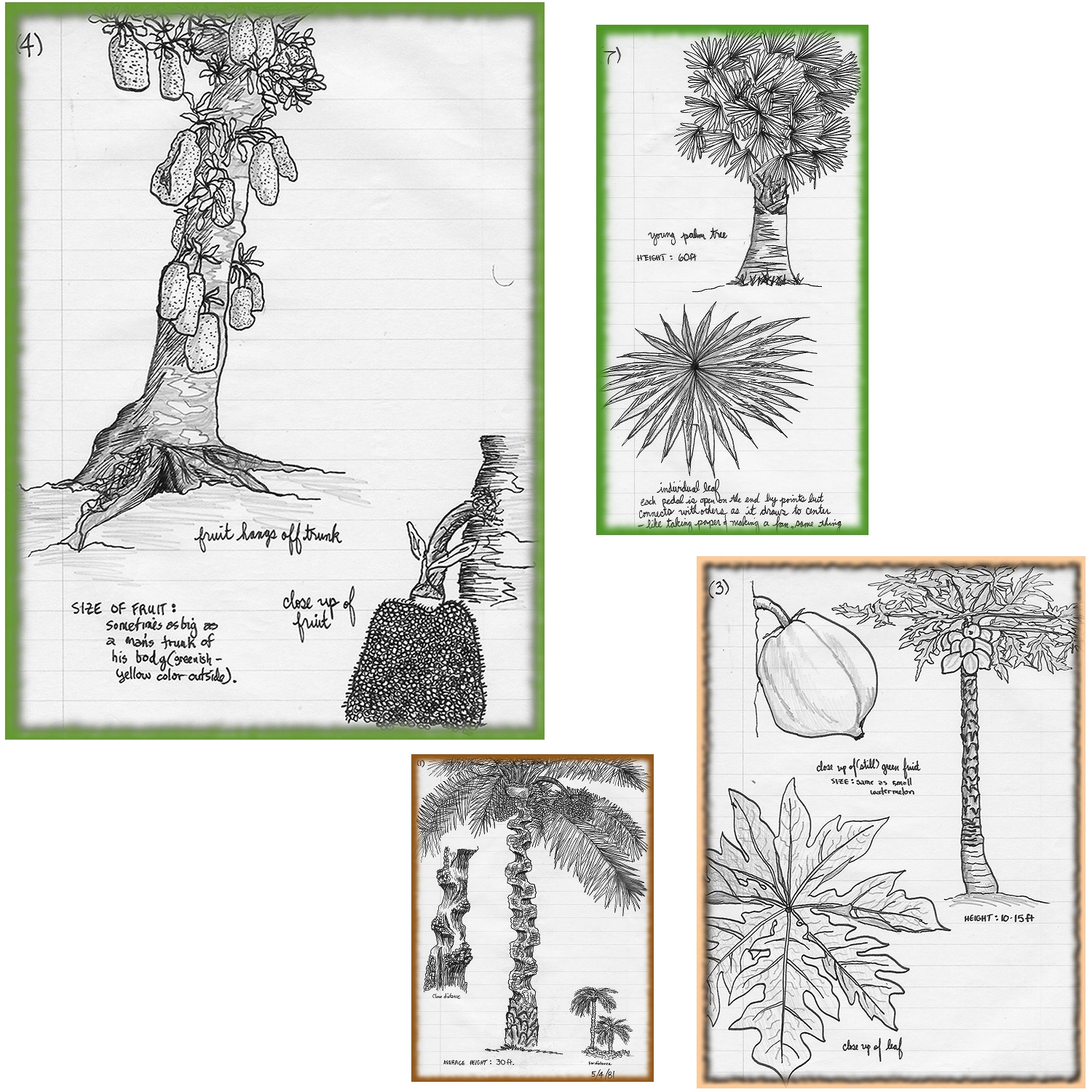 More drawings while in North 24 Parganas, West Bengal, India