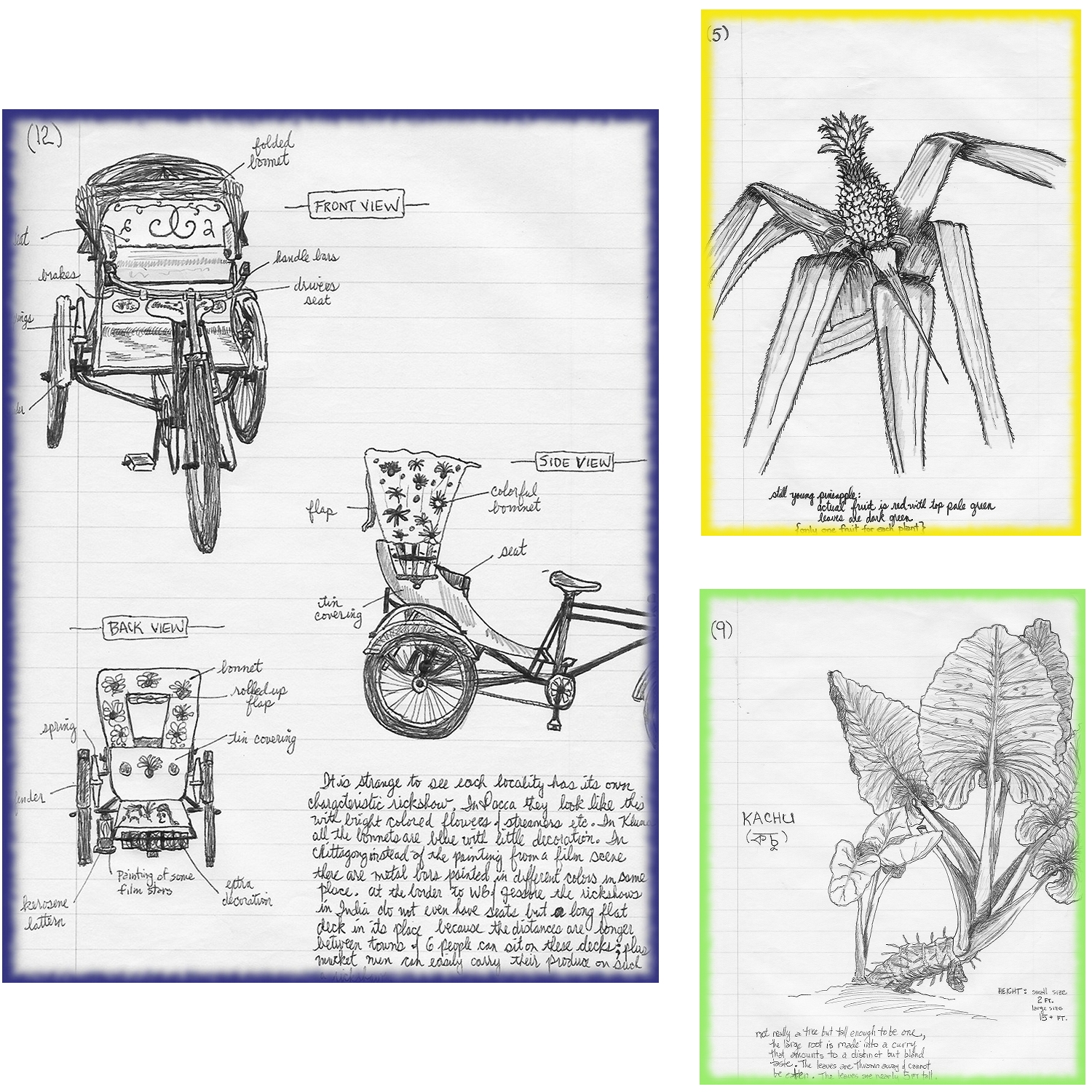 Drawings while in Bangladesh